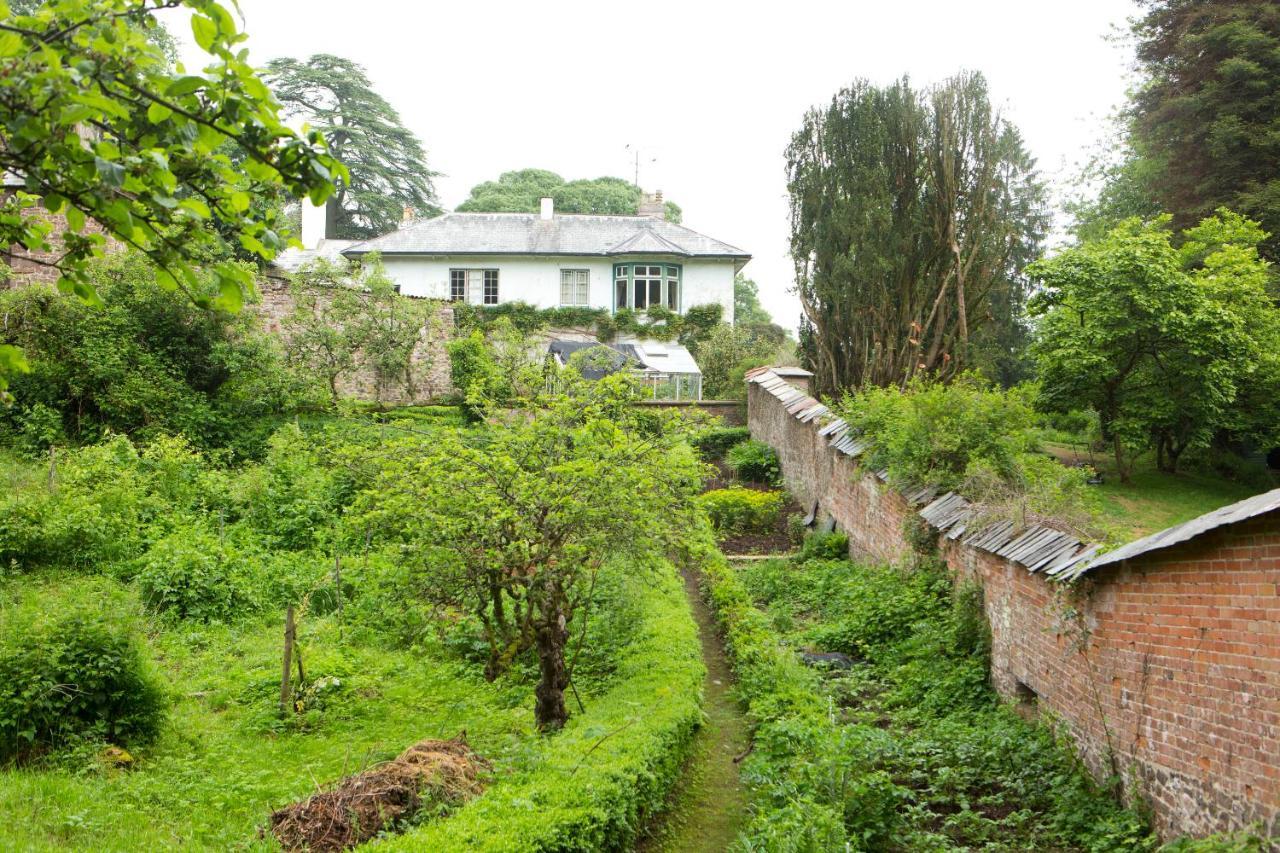 Ashley Court Pensionat Tiverton  Exteriör bild